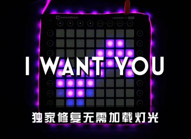 Tiesto Mike Williams – I Want You Launchpad Cover [工程文件下载]