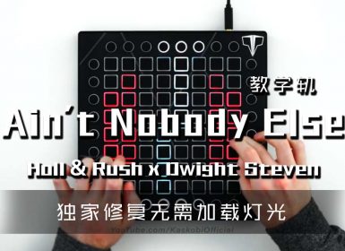 (LEVEL3)Holl&Rush & Dwight Steven – Aint Nobody Else Launchpad Cover [工程文件下载]